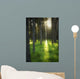 A Beautiful Wooded Area Wall Mural