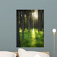 A Beautiful Wooded Area Wall Mural