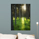 A Beautiful Wooded Area Wall Mural