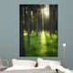 A Beautiful Wooded Area Wall Mural