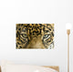 close up the eyes of a beautiful jaguar or panthera onca Wall Mural