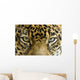 close up the eyes of a beautiful jaguar or panthera onca Wall Mural