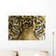 close up the eyes of a beautiful jaguar or panthera onca Wall Mural