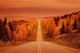 Scenic Highway Wall Mural