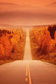 Scenic Highway Wall Mural