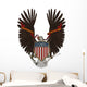 Us Symbol Wall Mural