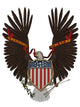 Us Symbol Wall Mural
