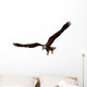 Eagle Wall Mural
