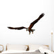 Eagle Wall Mural