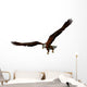 Eagle Wall Mural