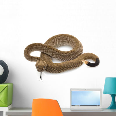 Western Diamondback Rattlesnake Wall Decal shown on a wall