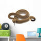 western diamondback rattlesnake Wall Decal