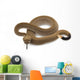 western diamondback rattlesnake Wall Decal
