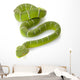 Green Temple viper Wall Decal
