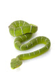 Green Temple viper Wall Decal