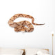 Copperhead Wall Decal