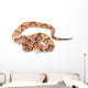 Copperhead Wall Decal