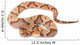 Copperhead Wall Decal