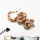 Arabesque Columbian red-tailed boa Wall Decal
