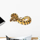 pastel ball python Wall Decal