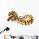 pastel ball python Wall Decal