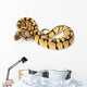 pastel ball python Wall Decal