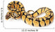 pastel ball python Wall Decal