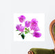 Bougainvillea