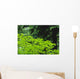 Umbrella Of Trees In Forest Wall Mural