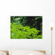Umbrella Of Trees In Forest Wall Mural