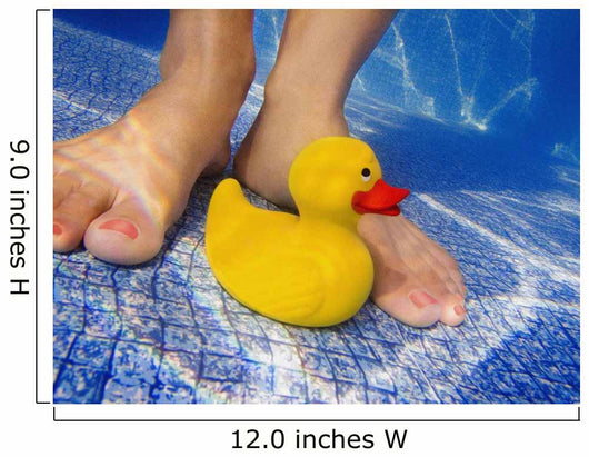 Toy At The Bottom Of A Pool Wall Mural