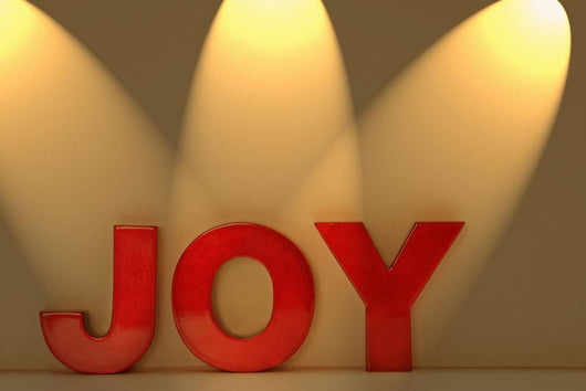 Joy Wall Mural