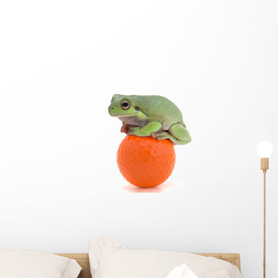 Frog Sitting Golf Ball Wall Mural shown on a wall