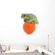 Frog Sitting On A Golf Ball Wall Mural