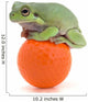 Frog Sitting On A Golf Ball Wall Mural