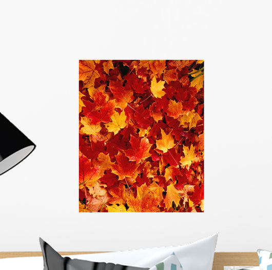 Fallen Maple Leaves Wall Mural