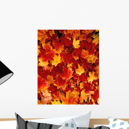 Fallen Maple Leaves Wall Mural