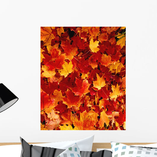 Fallen Maple Leaves Wall Mural