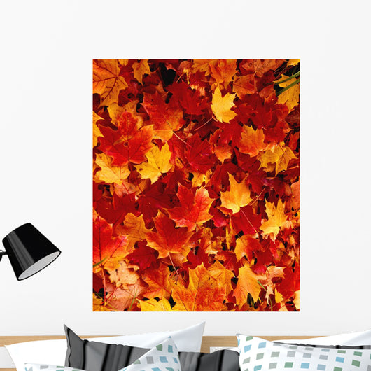 Fallen Maple Leaves Wall Mural