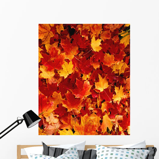 Fallen Maple Leaves Wall Mural