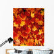 Fallen Maple Leaves Wall Mural