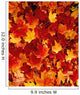 Fallen Maple Leaves Wall Mural