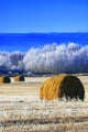 Frosty Hay Bales Wall Mural