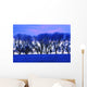 Frosty Trees Wall Mural