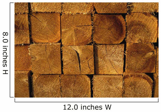 Stack Of Logs Wall Mural