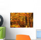 Autumn Trees Wall Mural