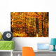 Autumn Trees Wall Mural