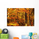 Autumn Trees Wall Mural