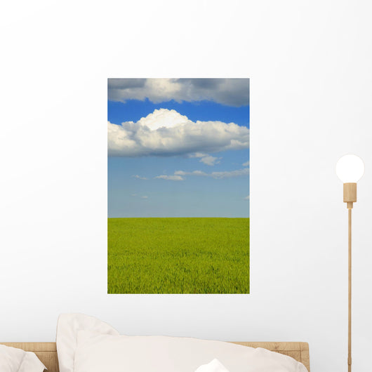 A Canola Field Wall Mural