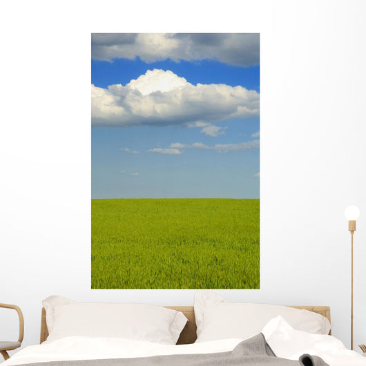 A Canola Field Wall Mural
